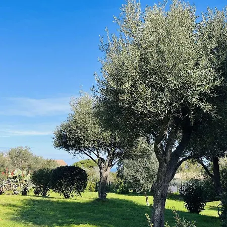 Avec Terrasse, A 1 Km De La Plage, Parking Inclus - Fr-1-63-324 Lumio (Corsica)